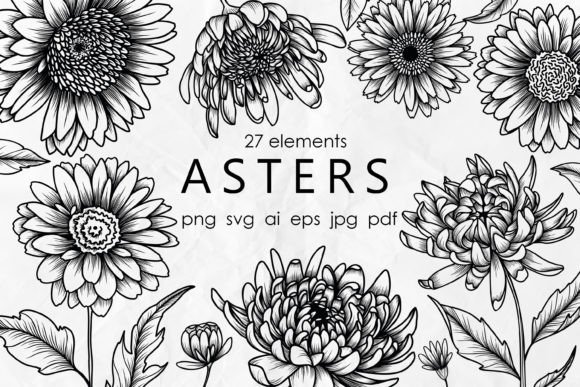 Aster Line Art SVG: A Versatile Graphics and Illustrations Asset