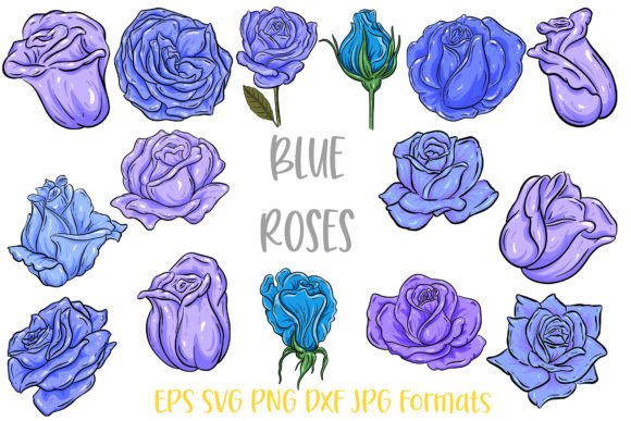Blue Rose Flower Line Art: A Versatile Graphics Bundle