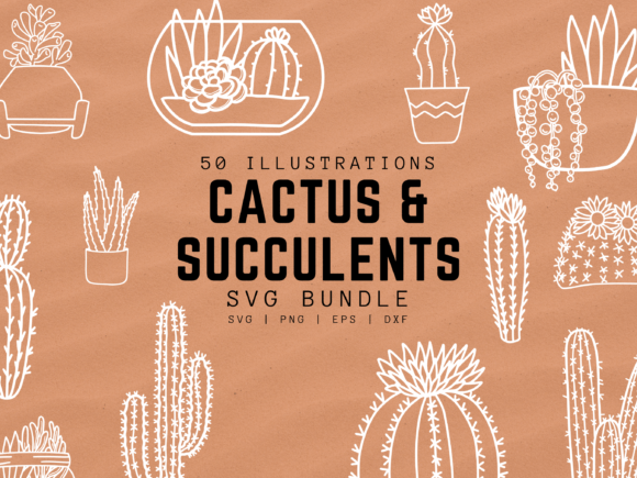 Cactus and Succulent SVG Graphics & Illustrations
