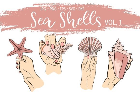 Holding Sea Shells Summer Illustrations: A Graphic Design Asset