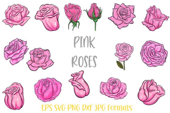 Pink Rose Flower Line Art: A Versatile Graphics and Illustrations Bundle